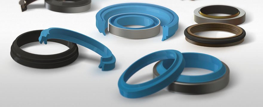 seals5