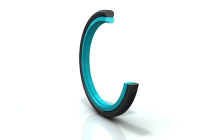 rim2