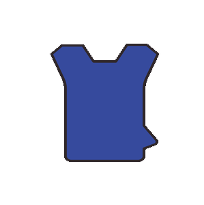 BT